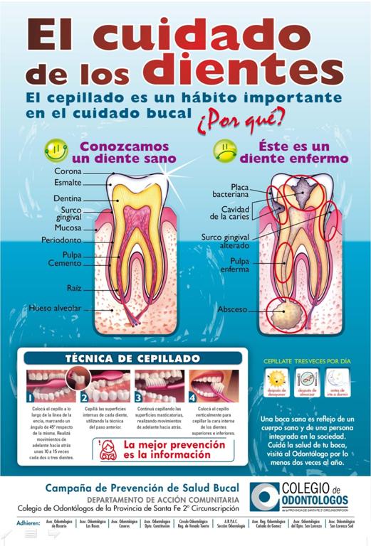 Voluntario comportarse Desgastar Campaña de prevención de salud bucal “el cuidado de los dientes” | Colegio  de Odontólogos de Santa Fé